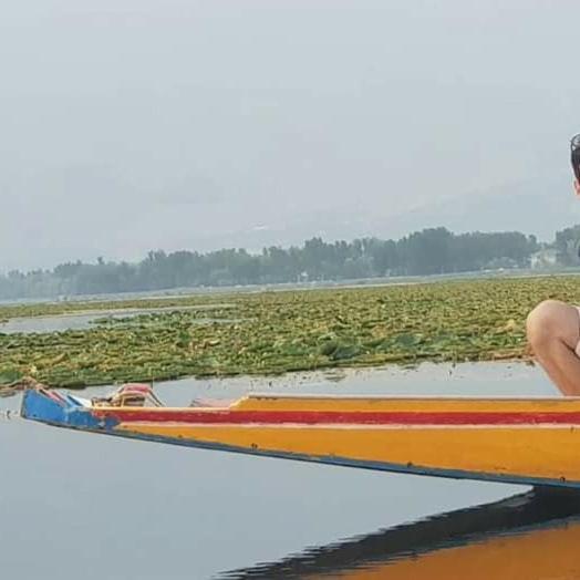 Green View Group Of Houseboats Srīnagar Exterior foto